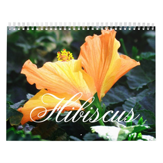 Hibiscus Calendar (Cover)