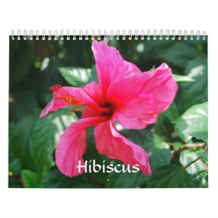Hibiscus Calendar