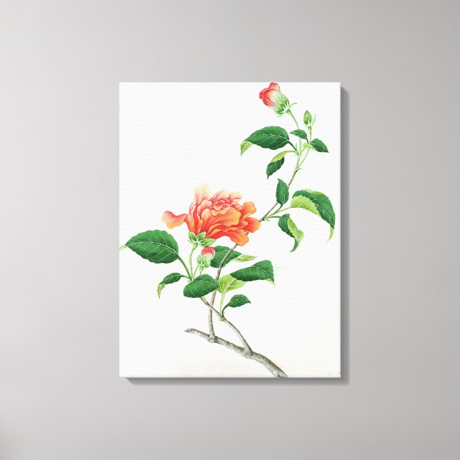 Hibiscus Canvas Print (Front)