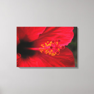 hibiscus canvas print