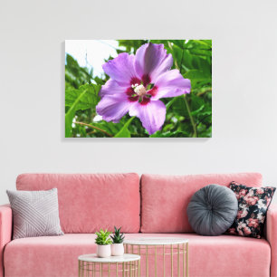 Hibiscus Canvas Print