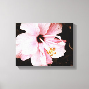 Hibiscus Canvas Print