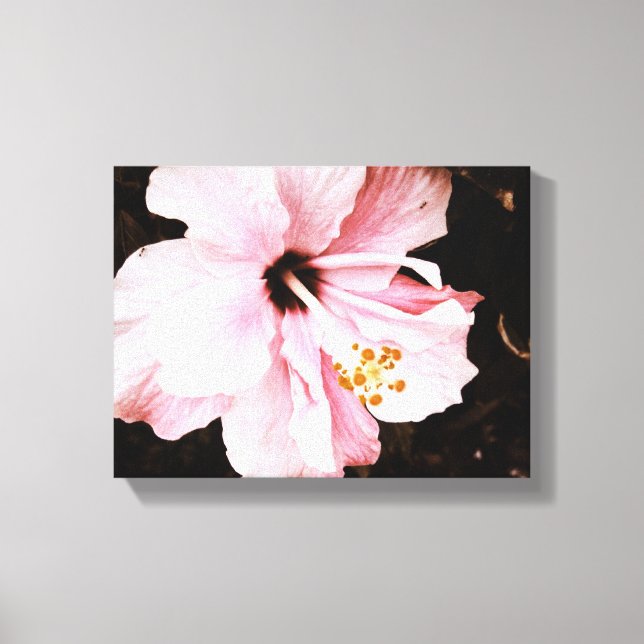 Hibiscus Canvas Print (Front)