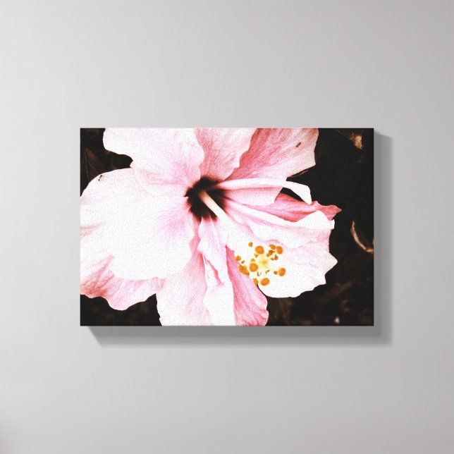 Hibiscus Canvas Print (Front)