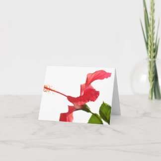 Hibiscus Card