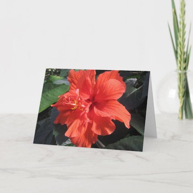 Hibiscus Card (Front)
