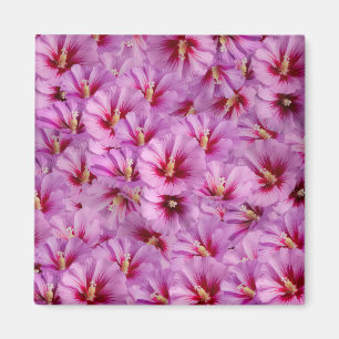 Hibiscus - Chinese Rose Flower Pattern Magnet