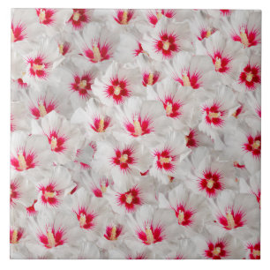 Hibiscus - Chinese Rose Flower Pattern Tile