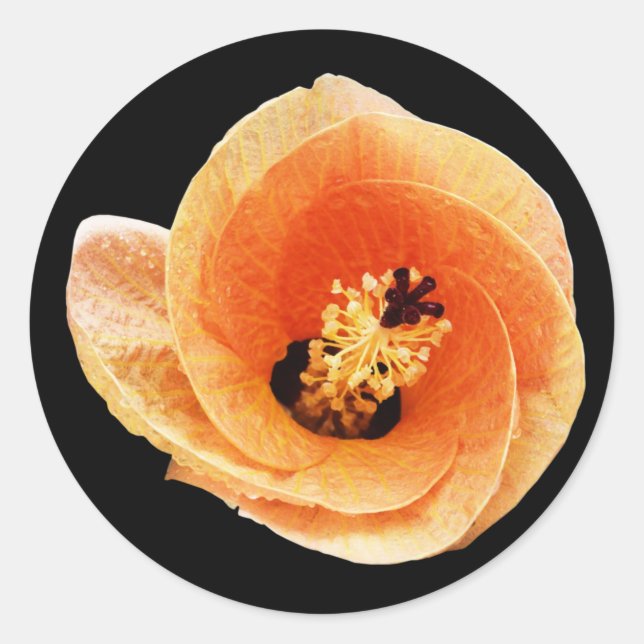 Hibiscus Classic Round Sticker (Front)
