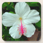 Hibiscus Coaster Set (6)
