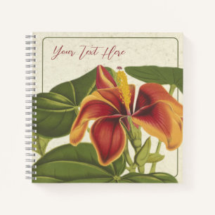 Hibiscus Elatus: A Tropical Muse Notebook