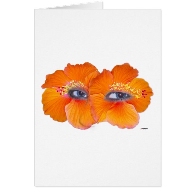 Hibiscus Eyes - Orange (Front)