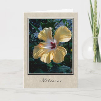 Hibiscus - Floral Series Card