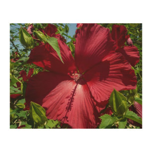 Hibiscus Flower and Blue Sky Wood Wall Art