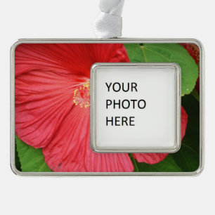 Hibiscus Flower Bright Magenta Floral Silver Plated Framed Ornament