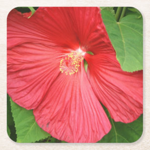 Hibiscus Flower Bright Magenta Floral Square Paper Coaster