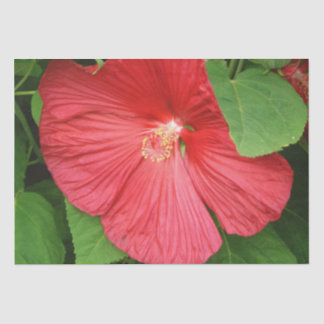 Hibiscus Flower Bright Magenta Floral Tissue Paper