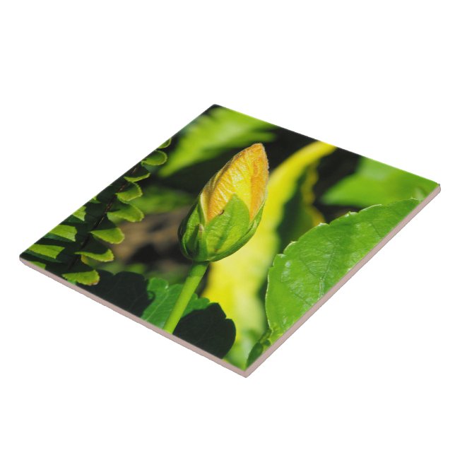 Hibiscus Flower Bud Tile (Side)
