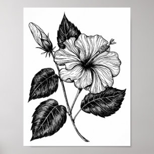 Hibiscus flower II Poster