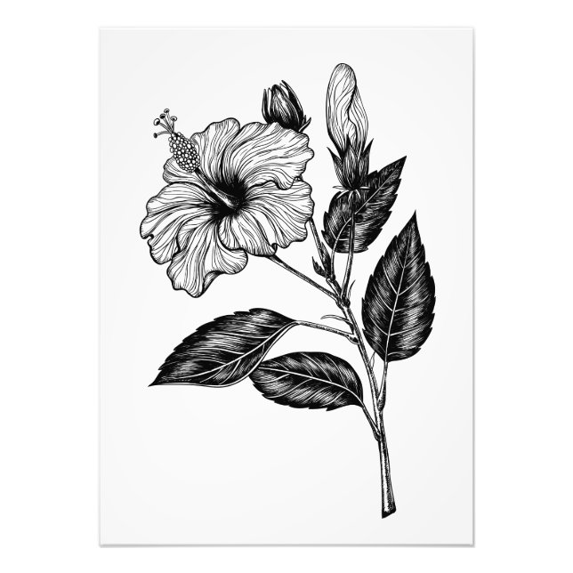 Hibiscus flower III Photo Print (Front)