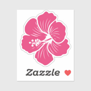 Hibiscus Flower Magenta or Violet Colour