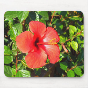 Hibiscus flower mouse pad