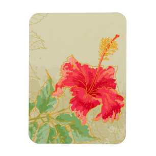 Hibiscus flower on toned background magnet