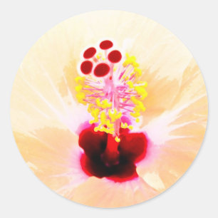 Hibiscus Flower Photograph Classic Round Sticker