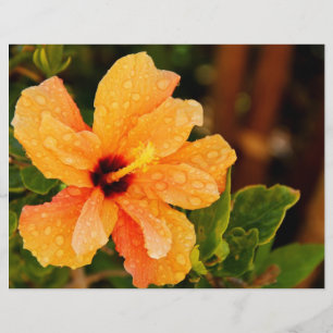 Hibiscus Flower Photography Flyer