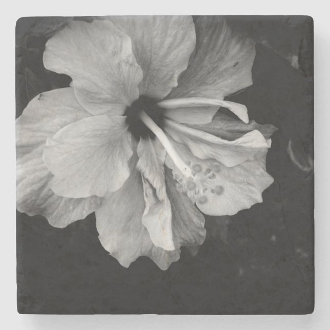 Hibiscus flower  stone coaster (Front)