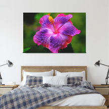 Hibiscus Flower Stretch Canvas Print