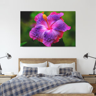 Hibiscus Flower Stretch Canvas Print
