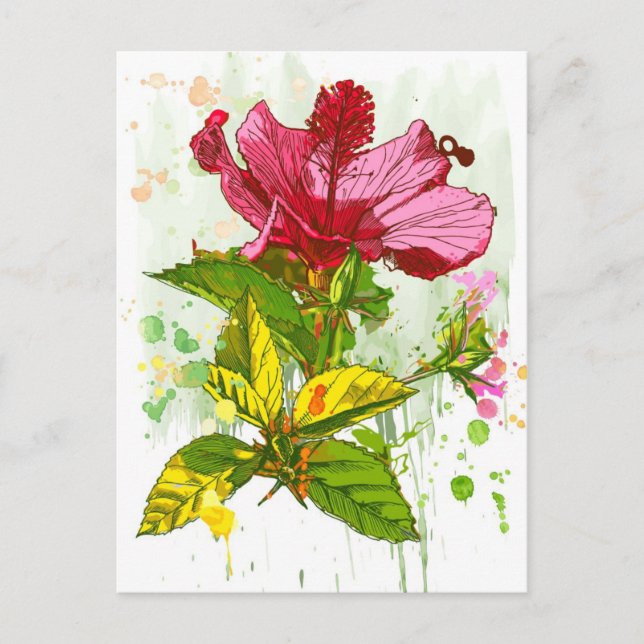 Hibiscus flower - watercolor paint postcard (Front)