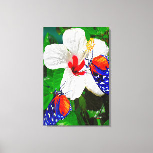 Hibiscus flower with 2 Tiger Longwing butterflies Canvas Print