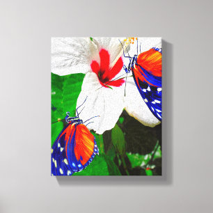 Hibiscus flower with 2 Tiger Longwing butterflies Canvas Print