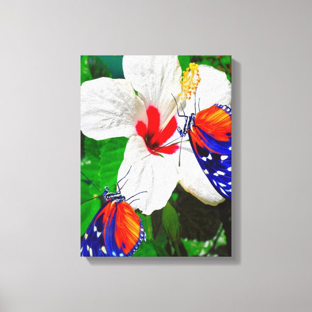 Hibiscus flower with 2 Tiger Longwing butterflies Canvas Print (Front)