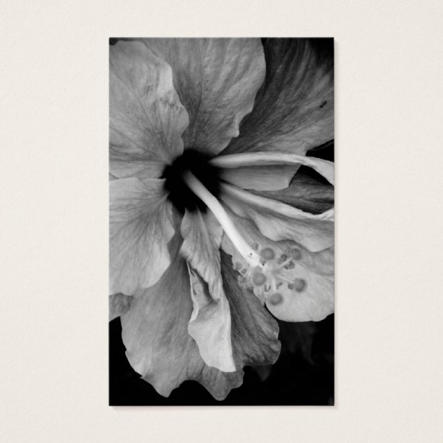 Hibiscus Flyer (Front)