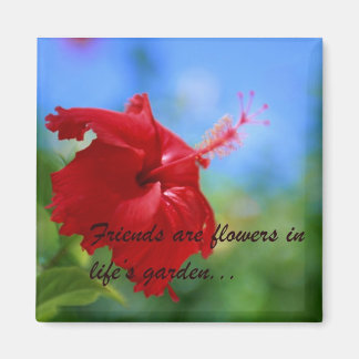 Hibiscus Friendship Quote Magnet