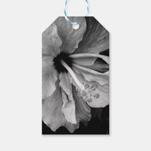 Hibiscus  gift tags (Front)
