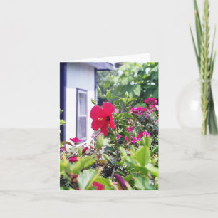 Hibiscus Hello Card