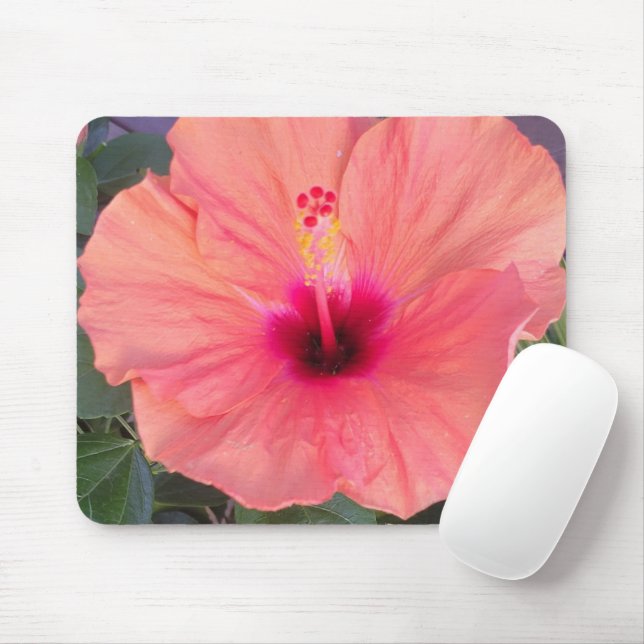 HIBISCUS HOME MOUSE PAD (With Mouse)