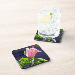 Hibiscus in Bright Sunlight Coaster