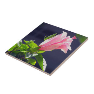 Hibiscus in Bright Sunlight Tile