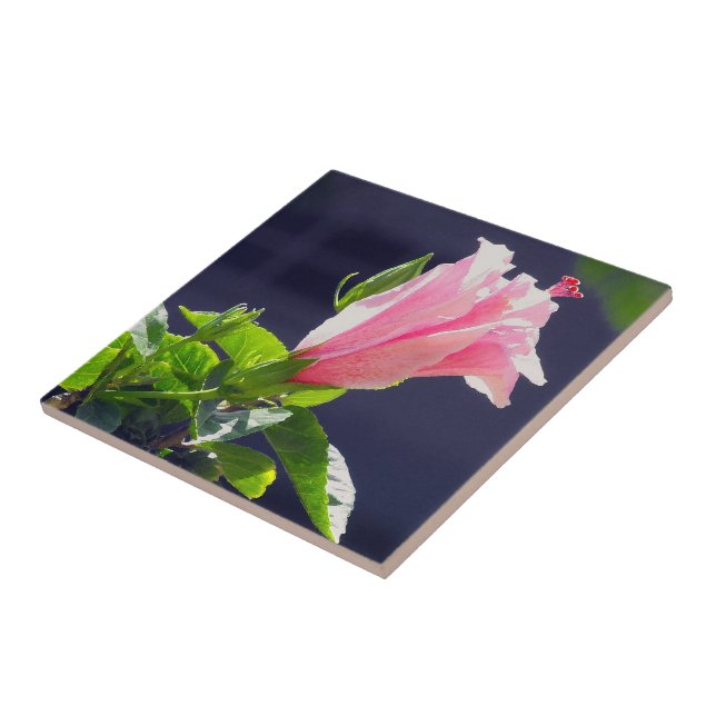 Hibiscus in Bright Sunlight Tile (Side)