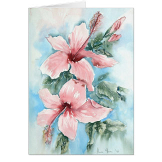 Hibiscus Joy
