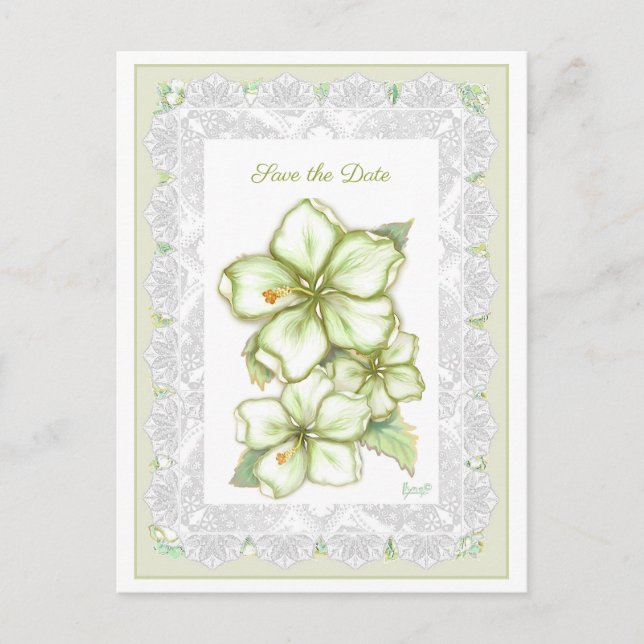 Hibiscus & lace WHITE Postcard (Front)