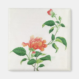 Hibiscus Magnet