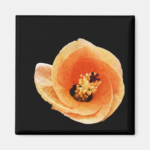 Hibiscus Magnet