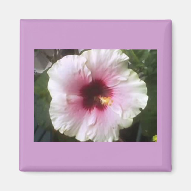 Hibiscus Magnet (Front)