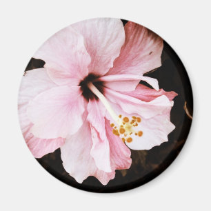 Hibiscus Magnet